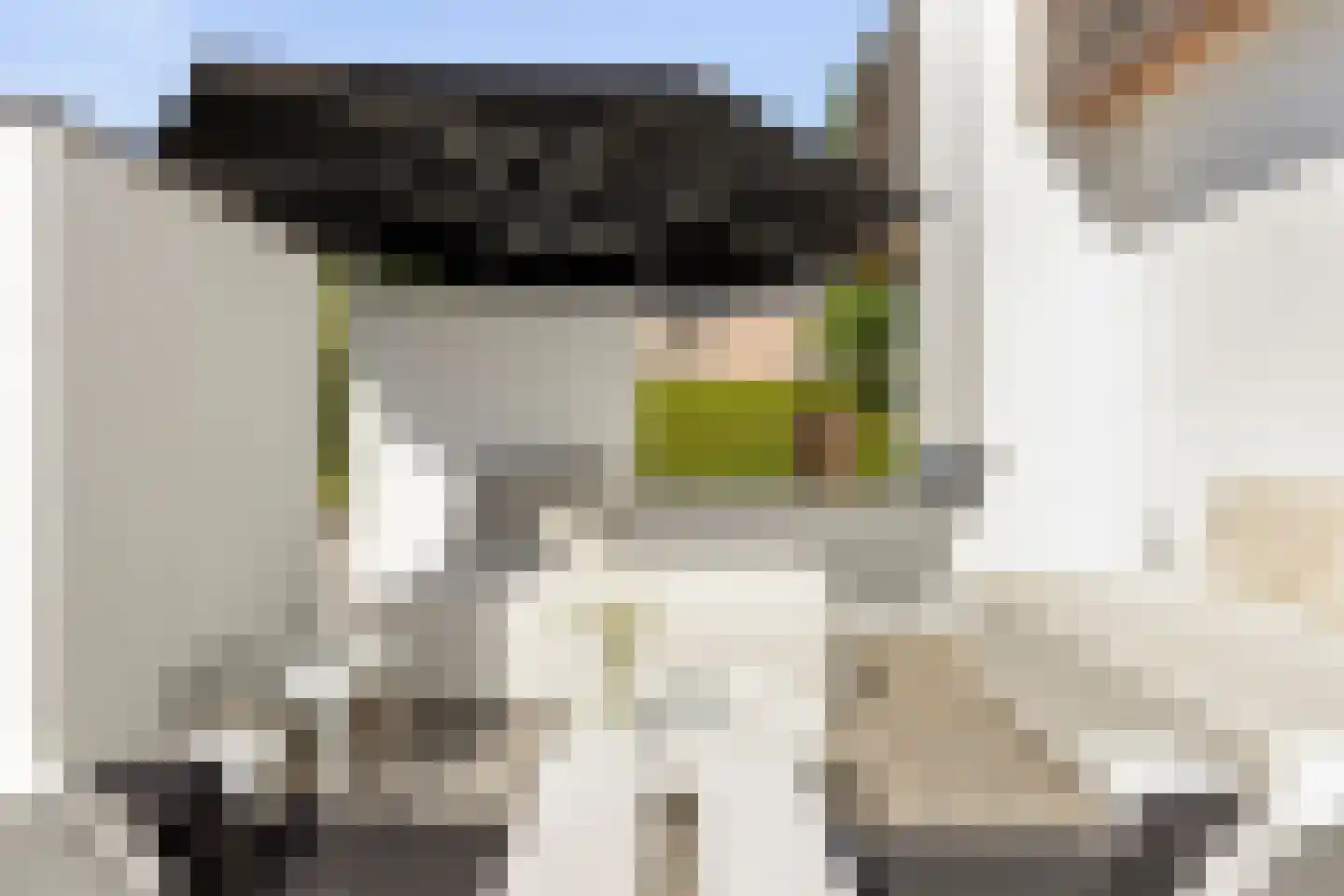 Noordelijke Achterweg 38 Wemeldinge thumbnail 40