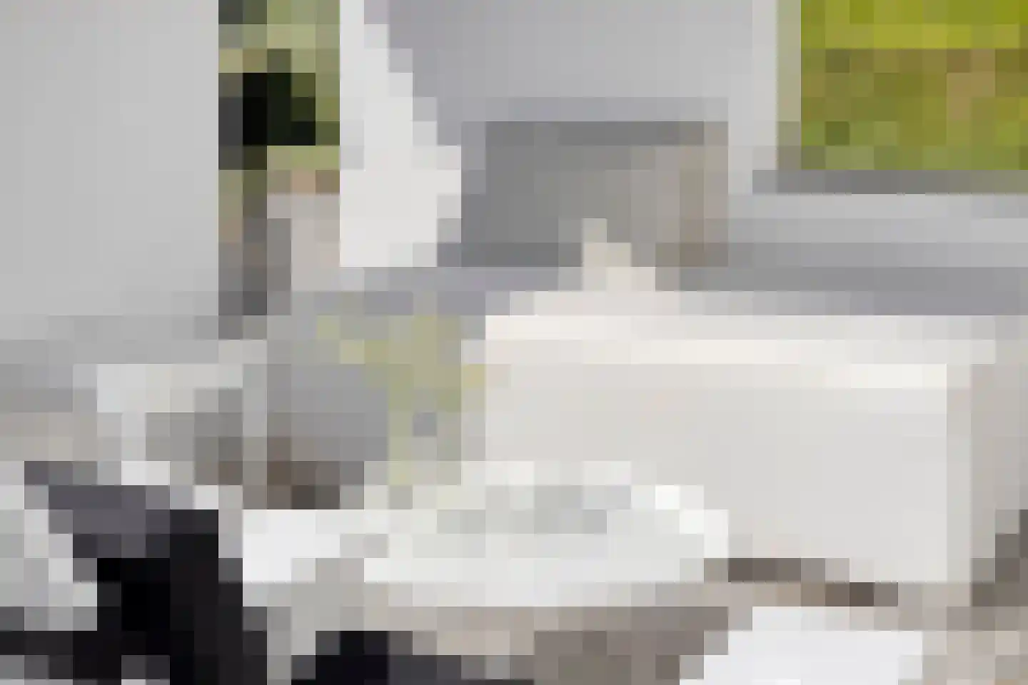 Noordelijke Achterweg 38 Wemeldinge thumbnail 41