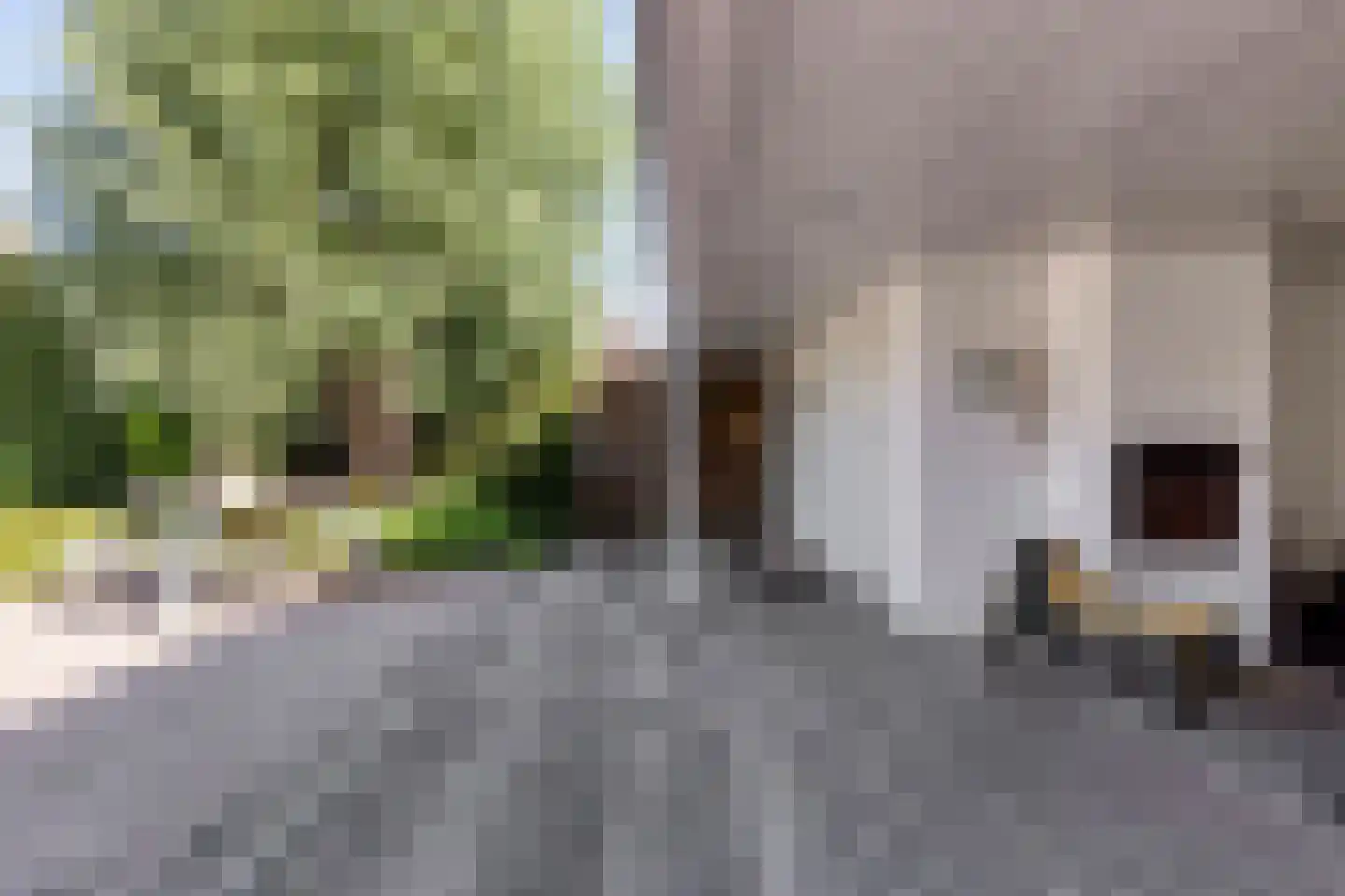 Noordelijke Achterweg 38 Wemeldinge thumbnail 46