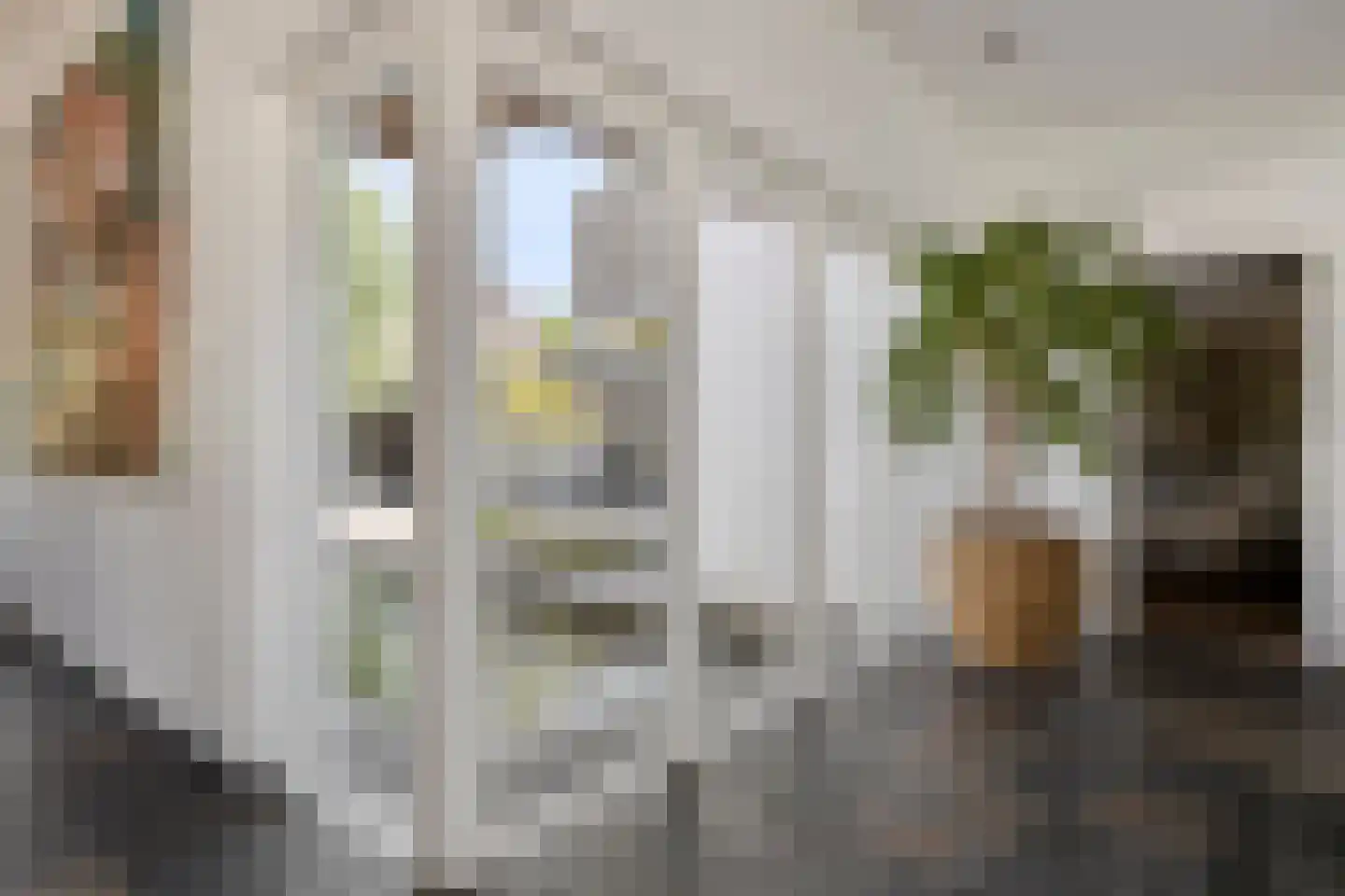 Noordelijke Achterweg 38 Wemeldinge thumbnail 5