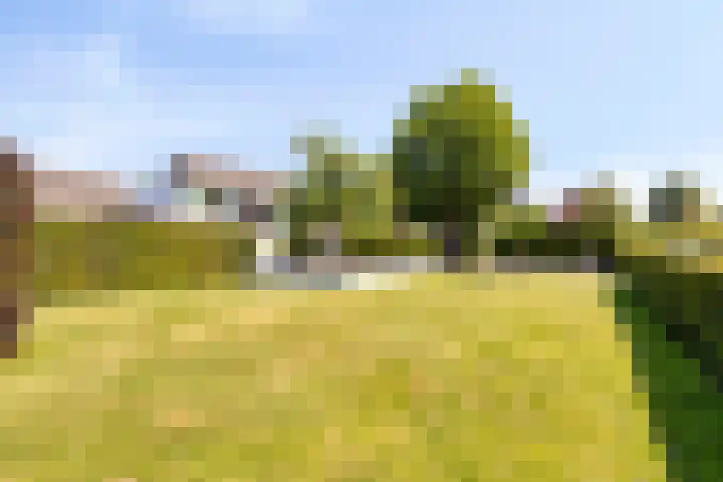 Noordelijke Achterweg 38 Wemeldinge thumbnail 51