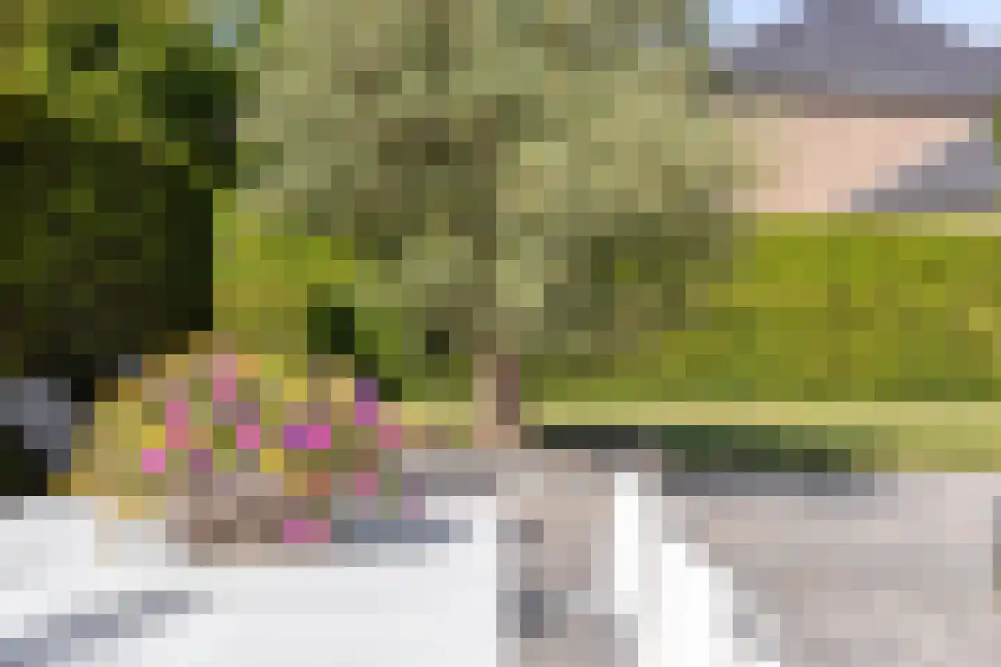 Noordelijke Achterweg 38 Wemeldinge thumbnail 52