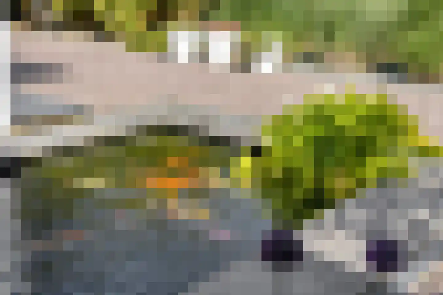 Noordelijke Achterweg 38 Wemeldinge thumbnail 6
