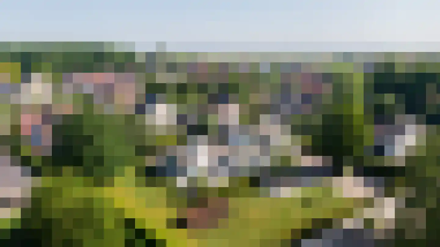 Noordelijke Achterweg 38 Wemeldinge thumbnail 61