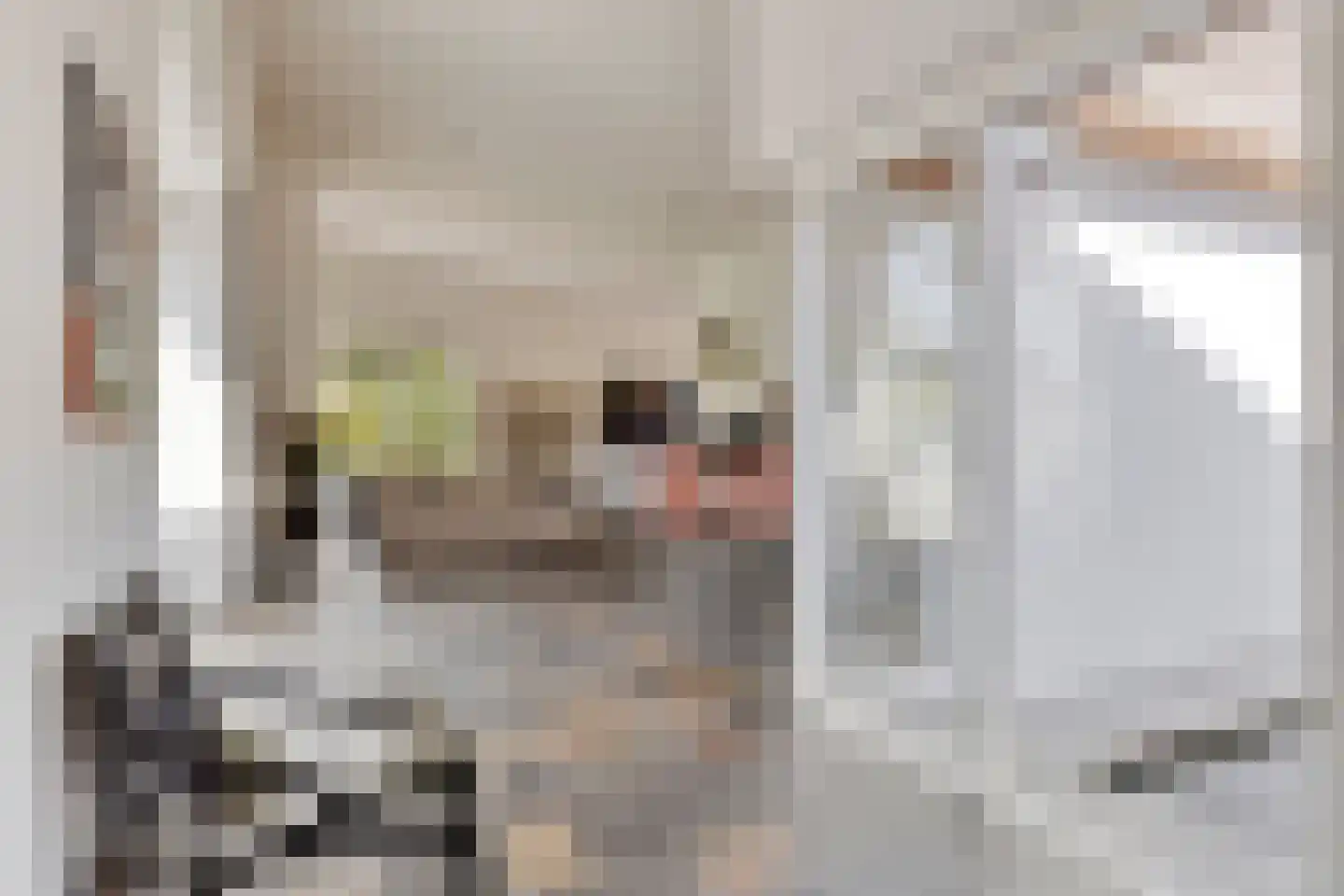 Noordelijke Achterweg 38 Wemeldinge thumbnail 7