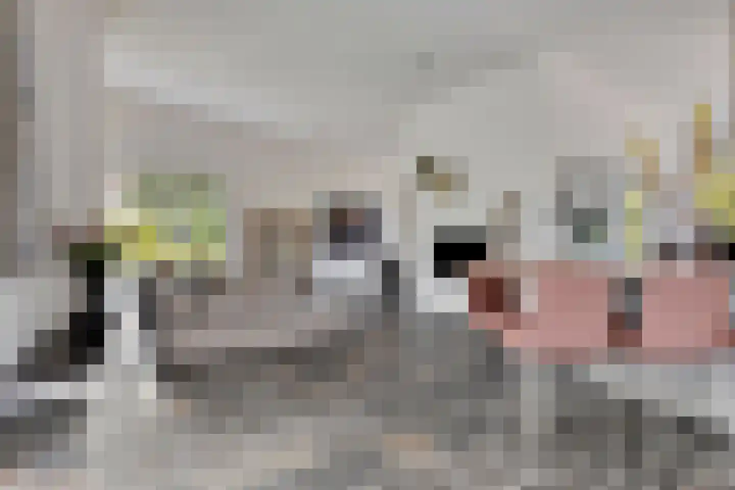 Noordelijke Achterweg 38 Wemeldinge thumbnail 8