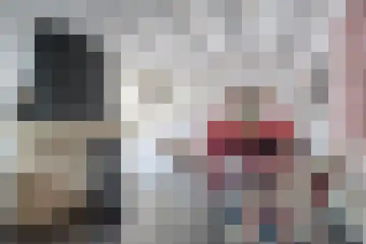 Noordelijke Achterweg 47 Wemeldinge thumbnail 10
