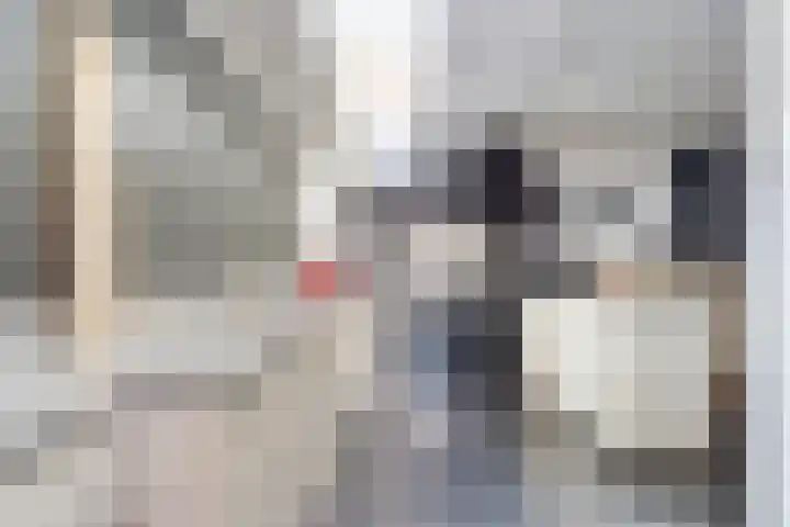 Noordelijke Achterweg 47 Wemeldinge thumbnail 11