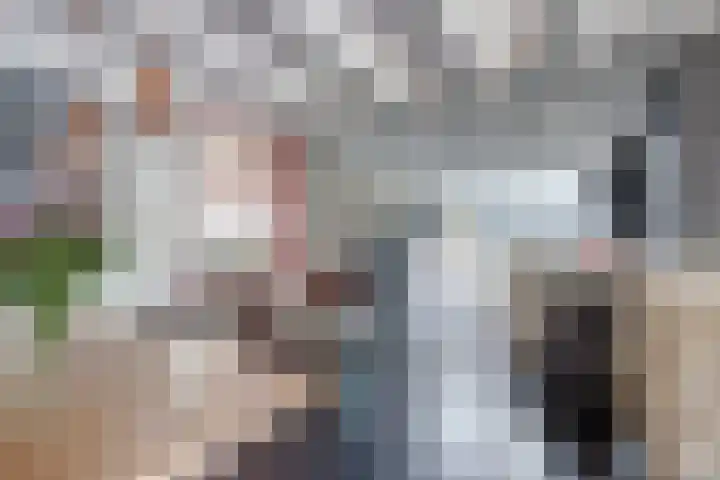 Noordelijke Achterweg 47 Wemeldinge thumbnail 14