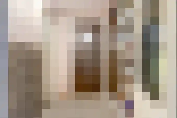 Noordelijke Achterweg 47 Wemeldinge thumbnail 15