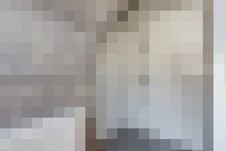 Noordelijke Achterweg 47 Wemeldinge thumbnail 18