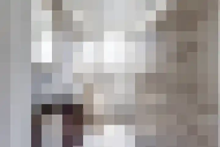 Noordelijke Achterweg 47 Wemeldinge thumbnail 19