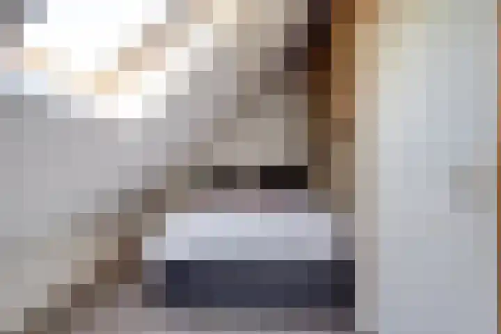 Noordelijke Achterweg 47 Wemeldinge thumbnail 21