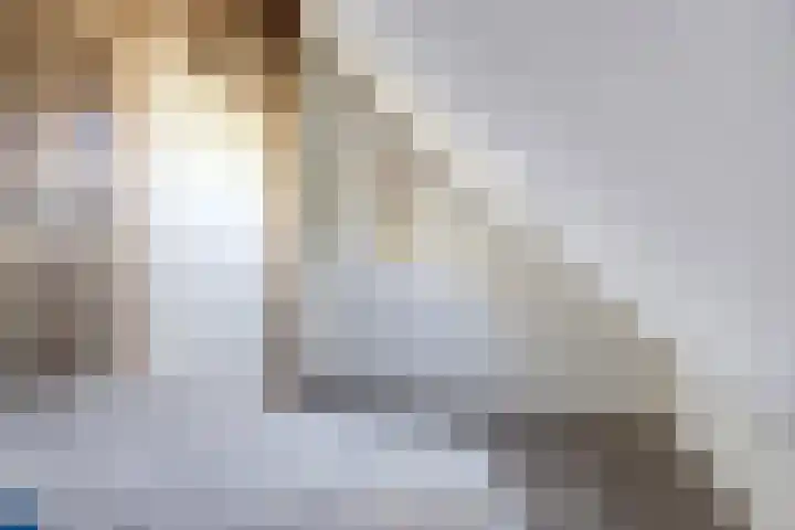 Noordelijke Achterweg 47 Wemeldinge thumbnail 22