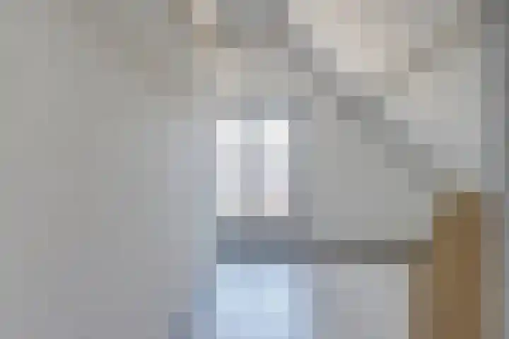 Noordelijke Achterweg 47 Wemeldinge thumbnail 23