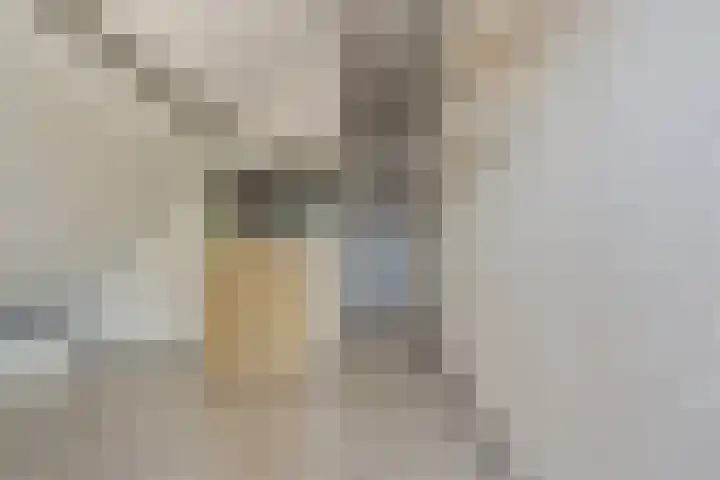 Noordelijke Achterweg 47 Wemeldinge thumbnail 24