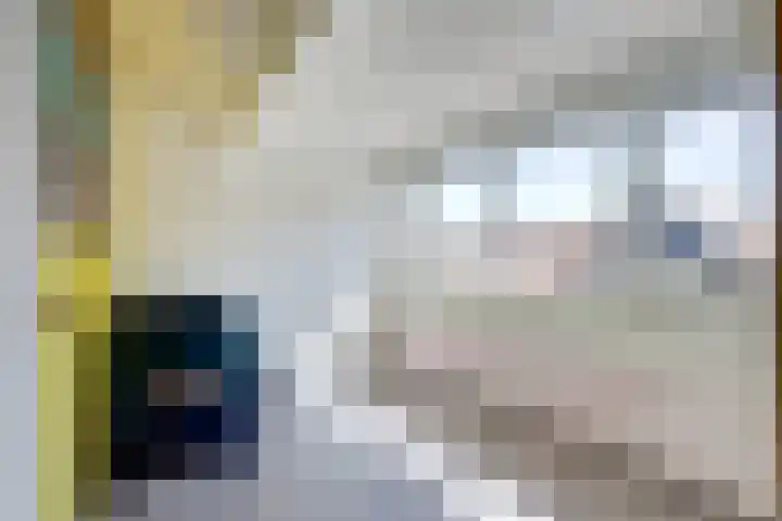 Noordelijke Achterweg 47 Wemeldinge thumbnail 25