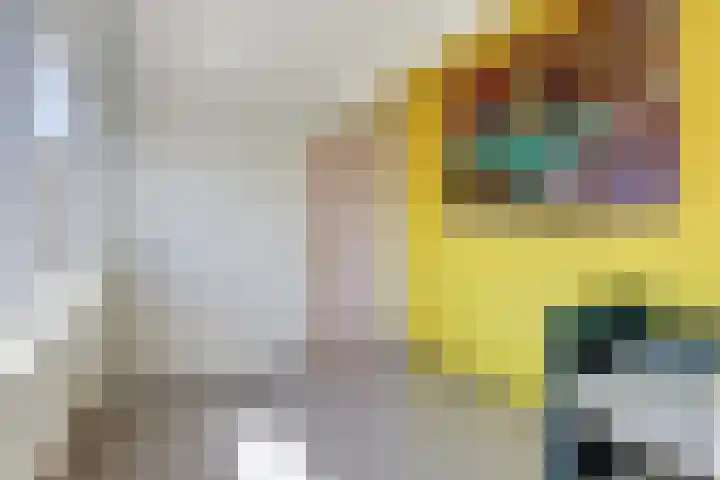 Noordelijke Achterweg 47 Wemeldinge thumbnail 26