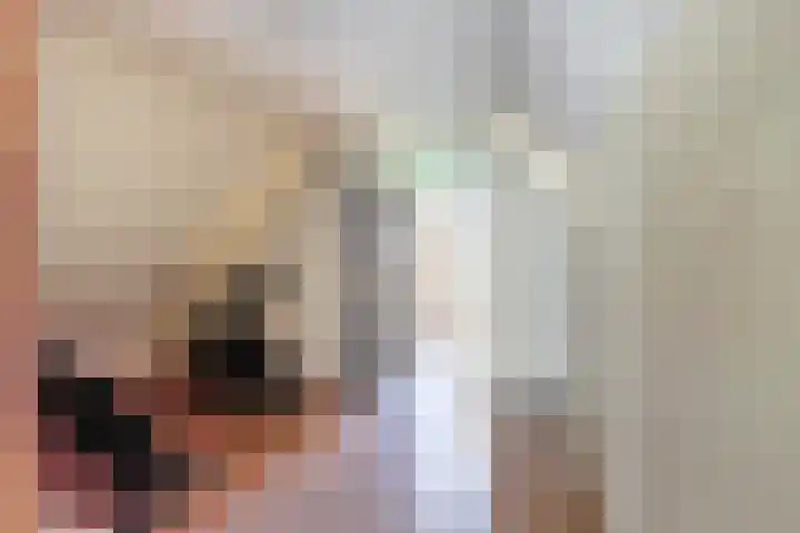 Noordelijke Achterweg 47 Wemeldinge thumbnail 27