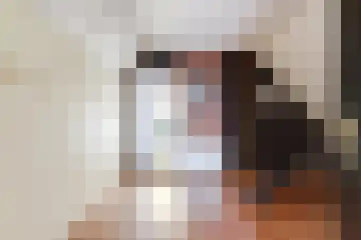 Noordelijke Achterweg 47 Wemeldinge thumbnail 28