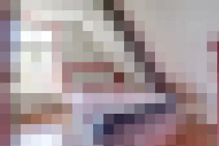 Noordelijke Achterweg 47 Wemeldinge thumbnail 29