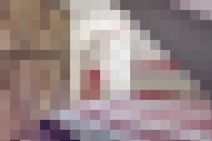 Noordelijke Achterweg 47 Wemeldinge thumbnail 30