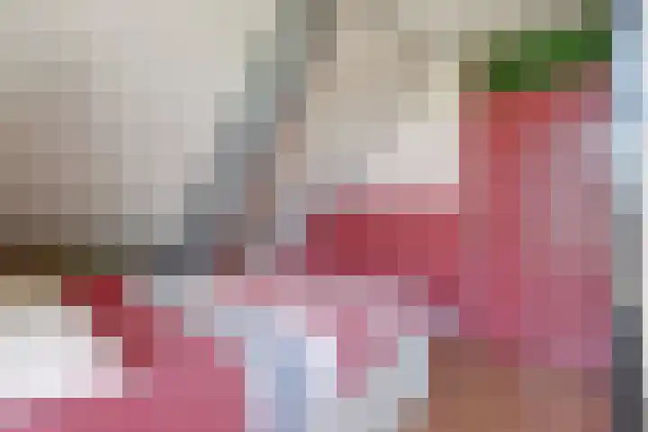 Noordelijke Achterweg 47 Wemeldinge thumbnail 31