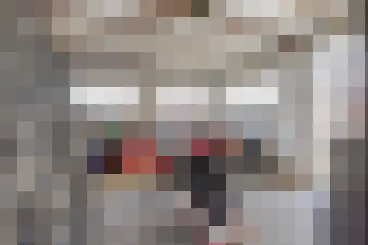 Noordelijke Achterweg 47 Wemeldinge thumbnail 33