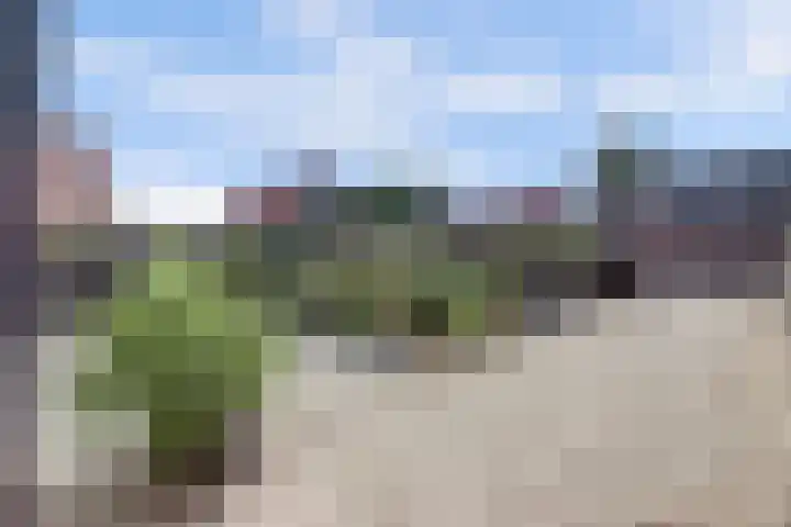 Noordelijke Achterweg 47 Wemeldinge thumbnail 37