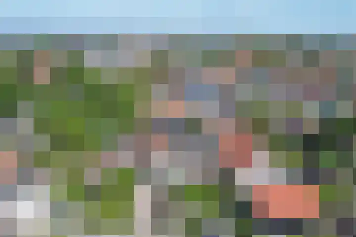 Noordelijke Achterweg 47 Wemeldinge thumbnail 38