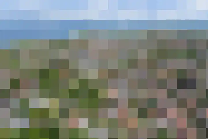 Noordelijke Achterweg 47 Wemeldinge thumbnail 39