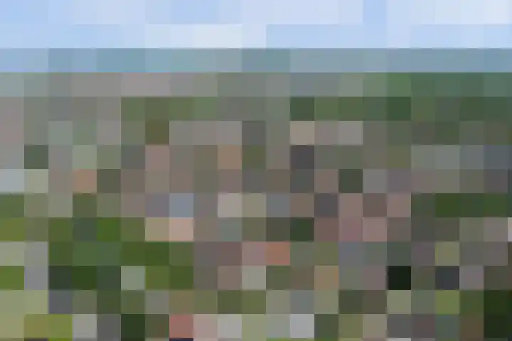 Noordelijke Achterweg 47 Wemeldinge thumbnail 40
