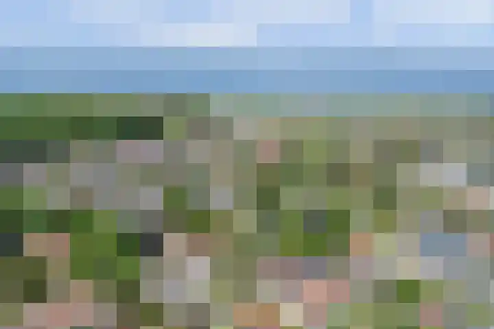 Noordelijke Achterweg 47 Wemeldinge thumbnail 41