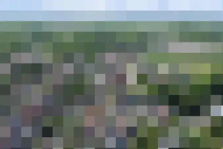 Noordelijke Achterweg 47 Wemeldinge thumbnail 42
