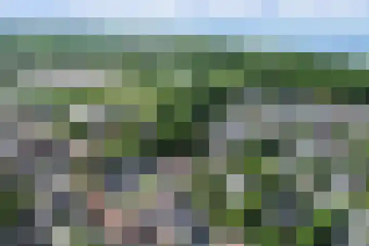 Noordelijke Achterweg 47 Wemeldinge thumbnail 43