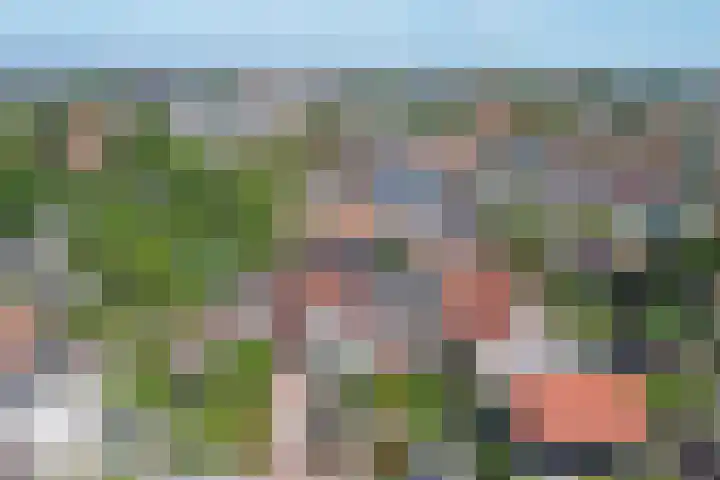 Noordelijke Achterweg 47 Wemeldinge thumbnail 44