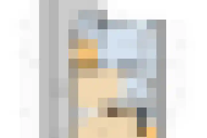 Noordelijke Achterweg 47 Wemeldinge thumbnail 46