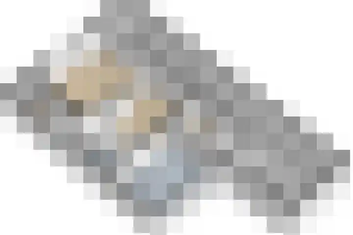 Noordelijke Achterweg 47 Wemeldinge thumbnail 48