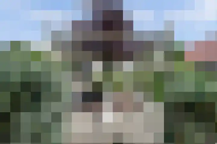Noordelijke Achterweg 47 Wemeldinge thumbnail 5