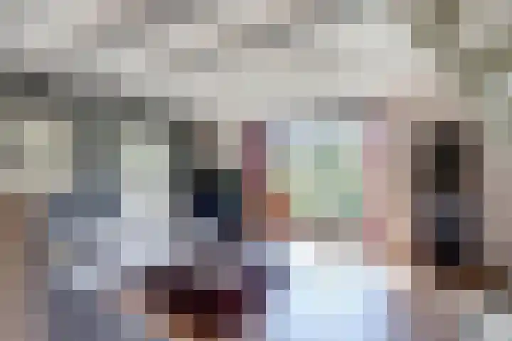 Noordelijke Achterweg 47 Wemeldinge thumbnail 8