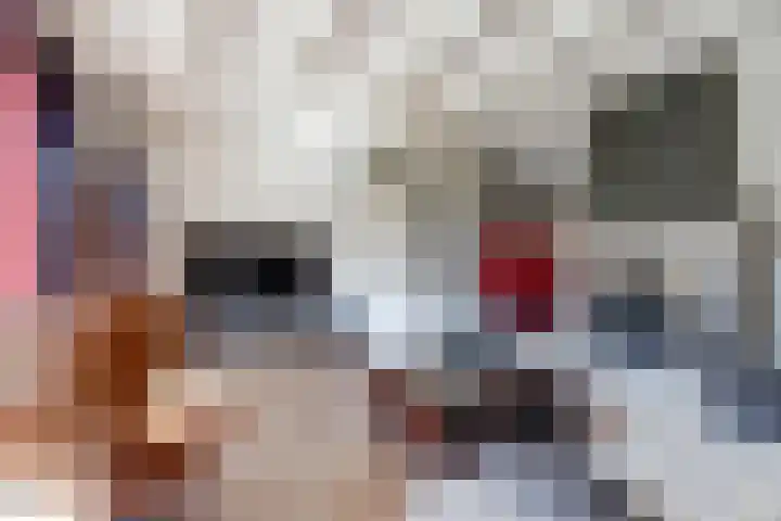 Noordelijke Achterweg 47 Wemeldinge thumbnail 9