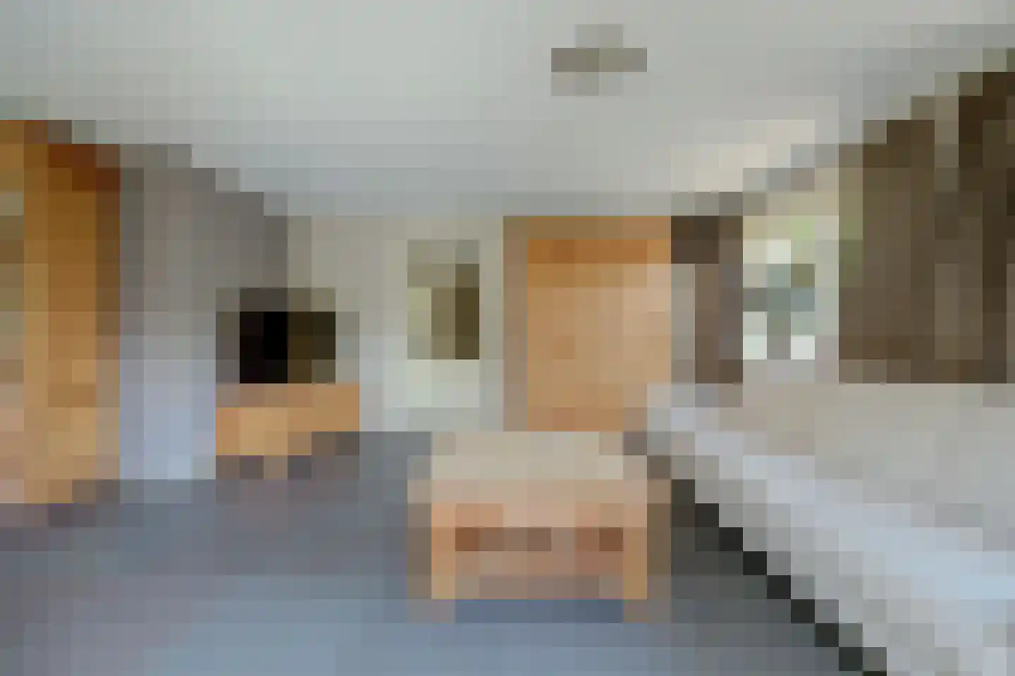 Noordelijke Achterweg 51 Wemeldinge thumbnail 10