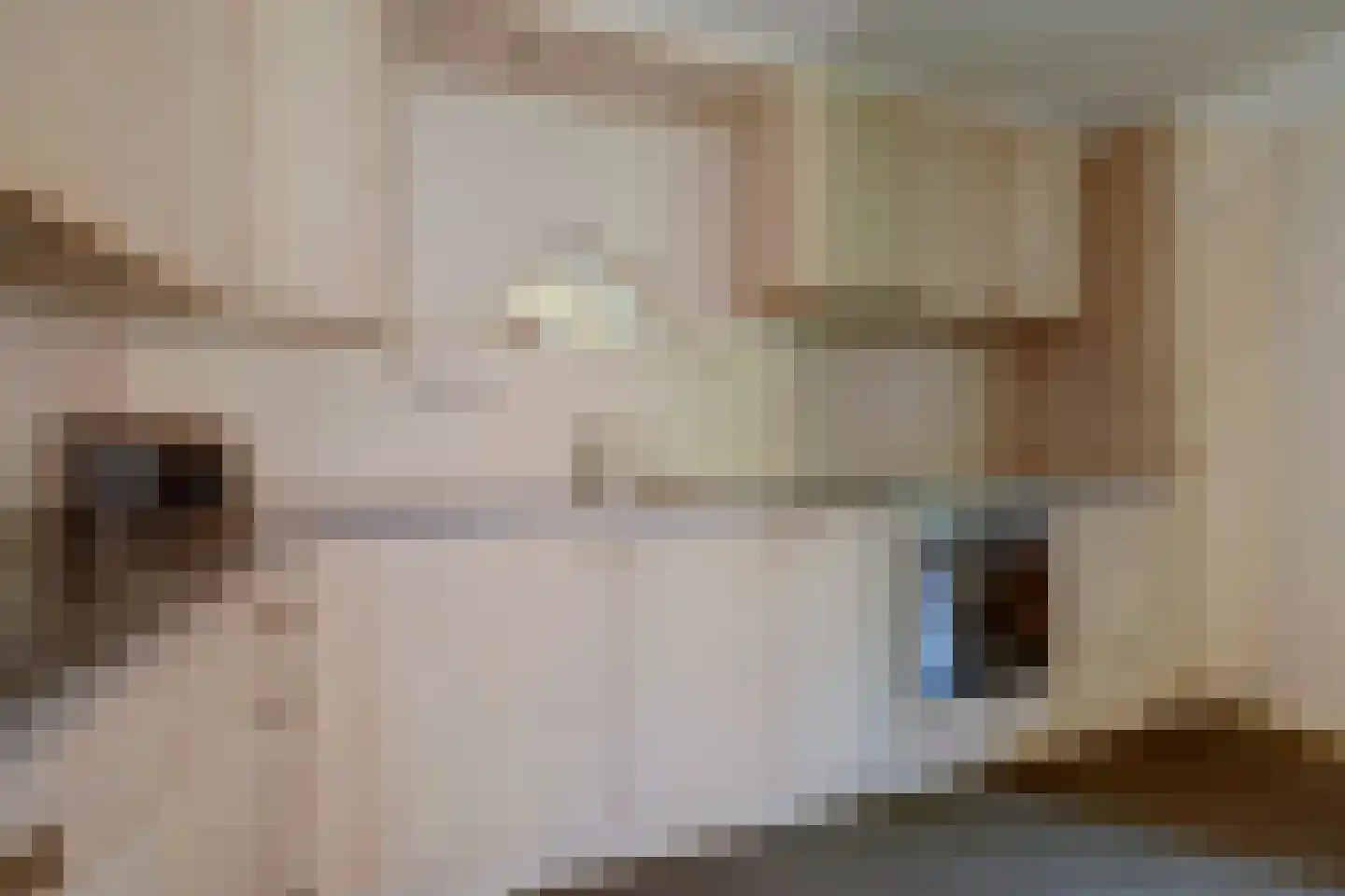 Noordelijke Achterweg 51 Wemeldinge thumbnail 13