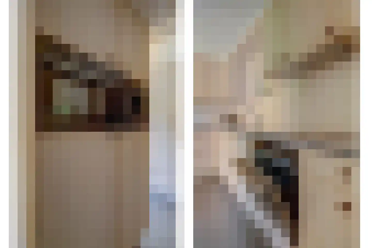 Noordelijke Achterweg 51 Wemeldinge thumbnail 14