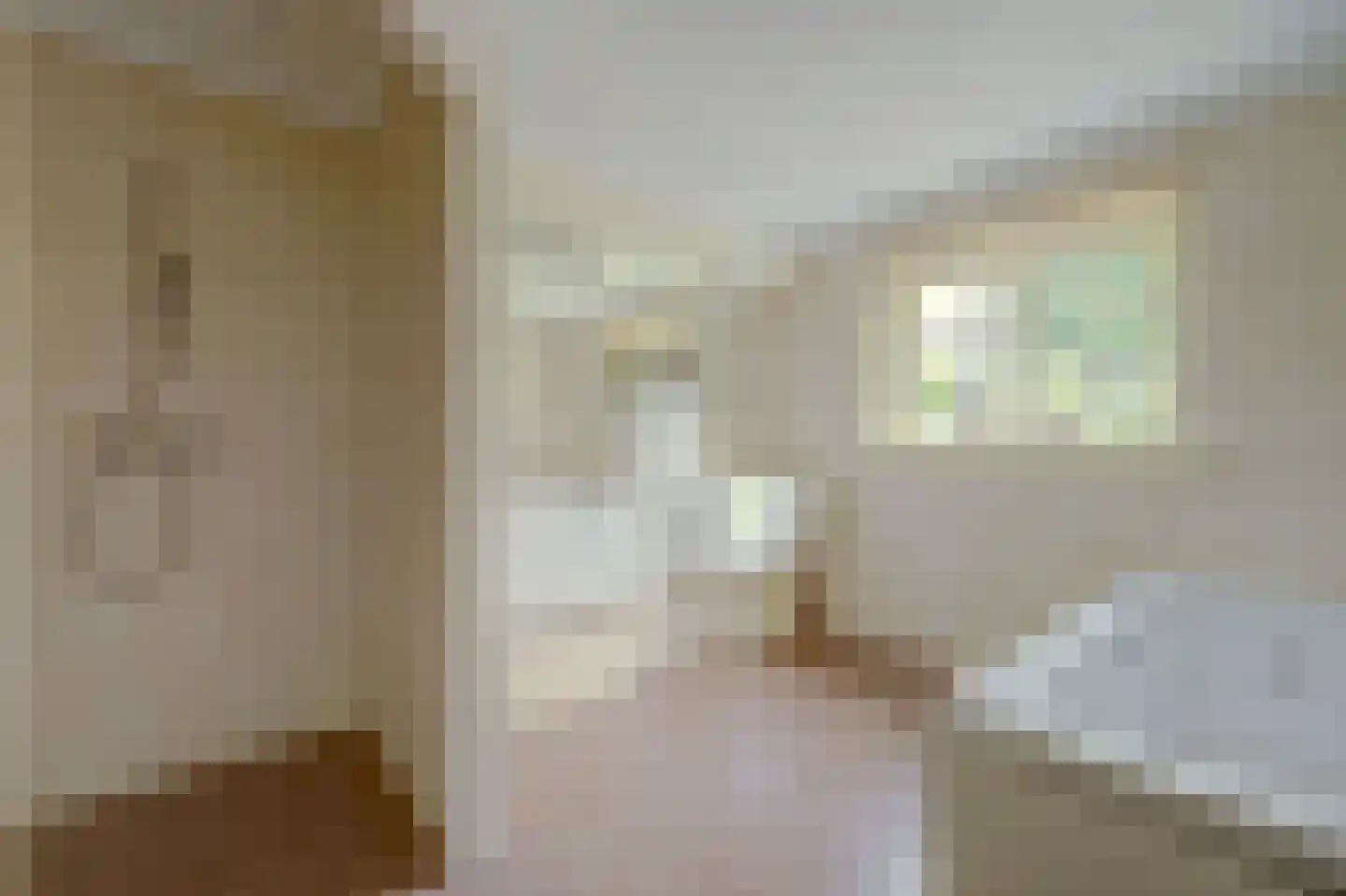 Noordelijke Achterweg 51 Wemeldinge thumbnail 16