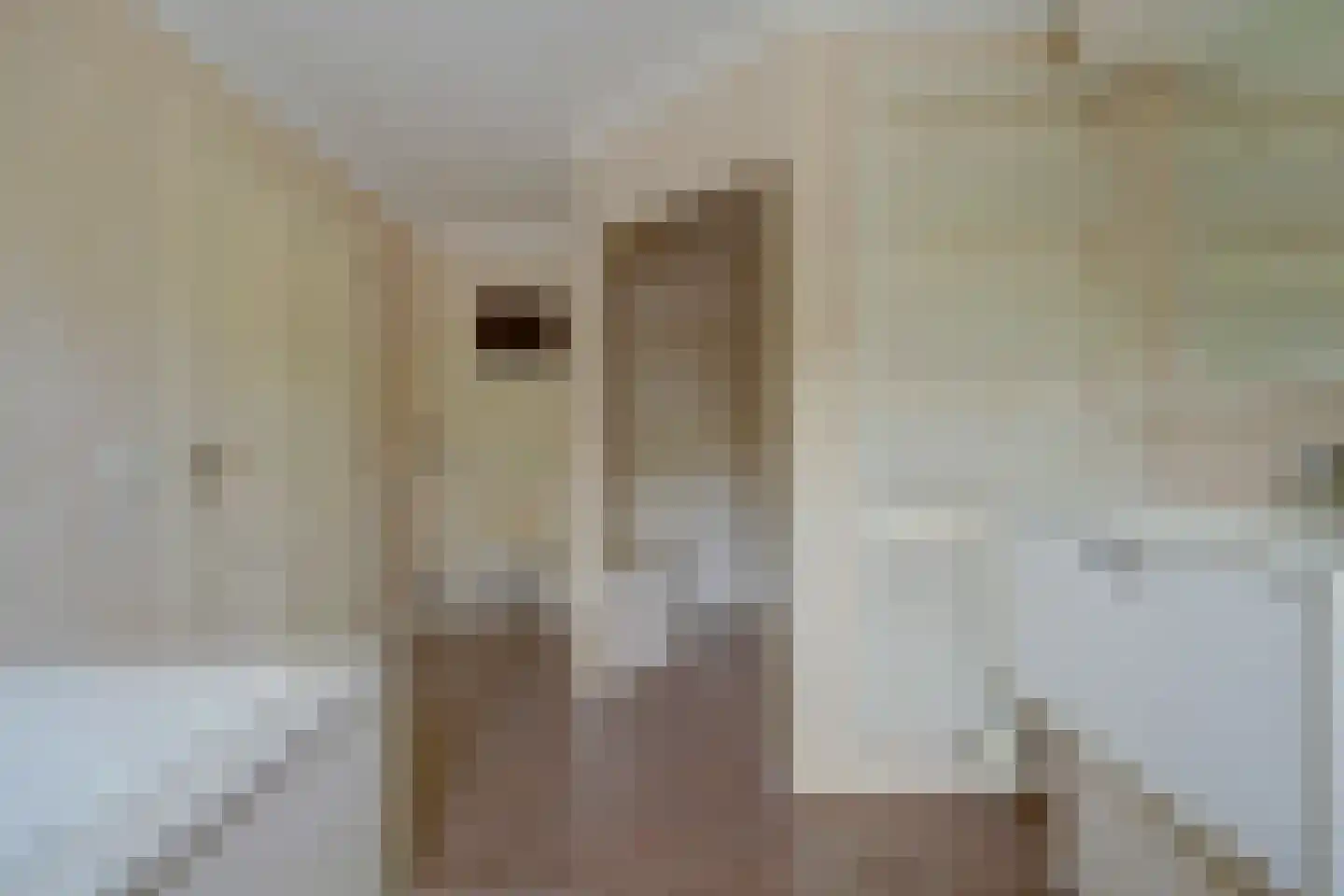 Noordelijke Achterweg 51 Wemeldinge thumbnail 17