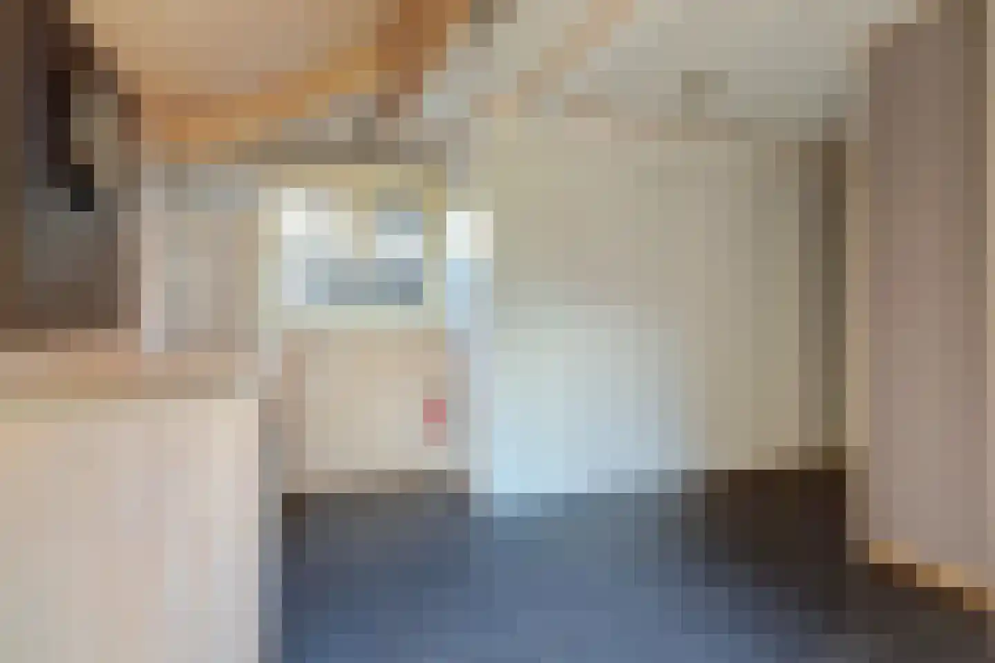 Noordelijke Achterweg 51 Wemeldinge thumbnail 20
