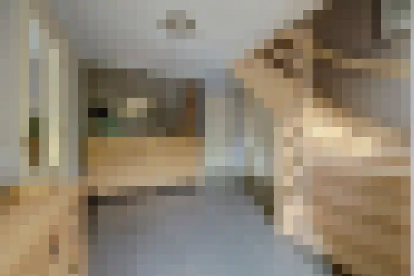 Noordelijke Achterweg 51 Wemeldinge thumbnail 22