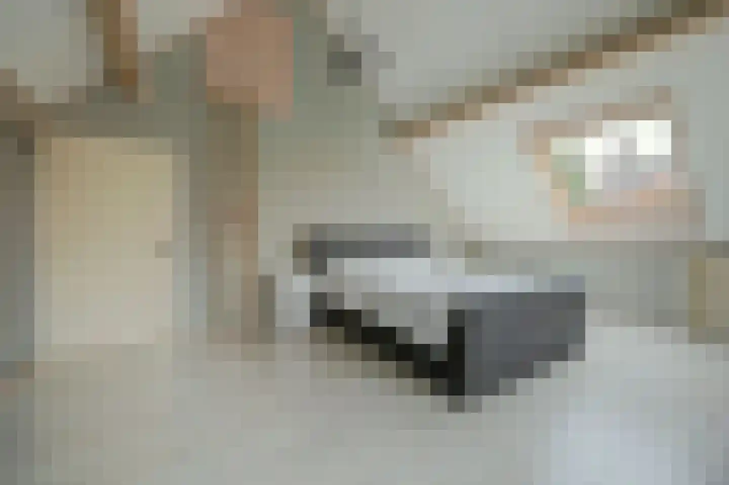 Noordelijke Achterweg 51 Wemeldinge thumbnail 26