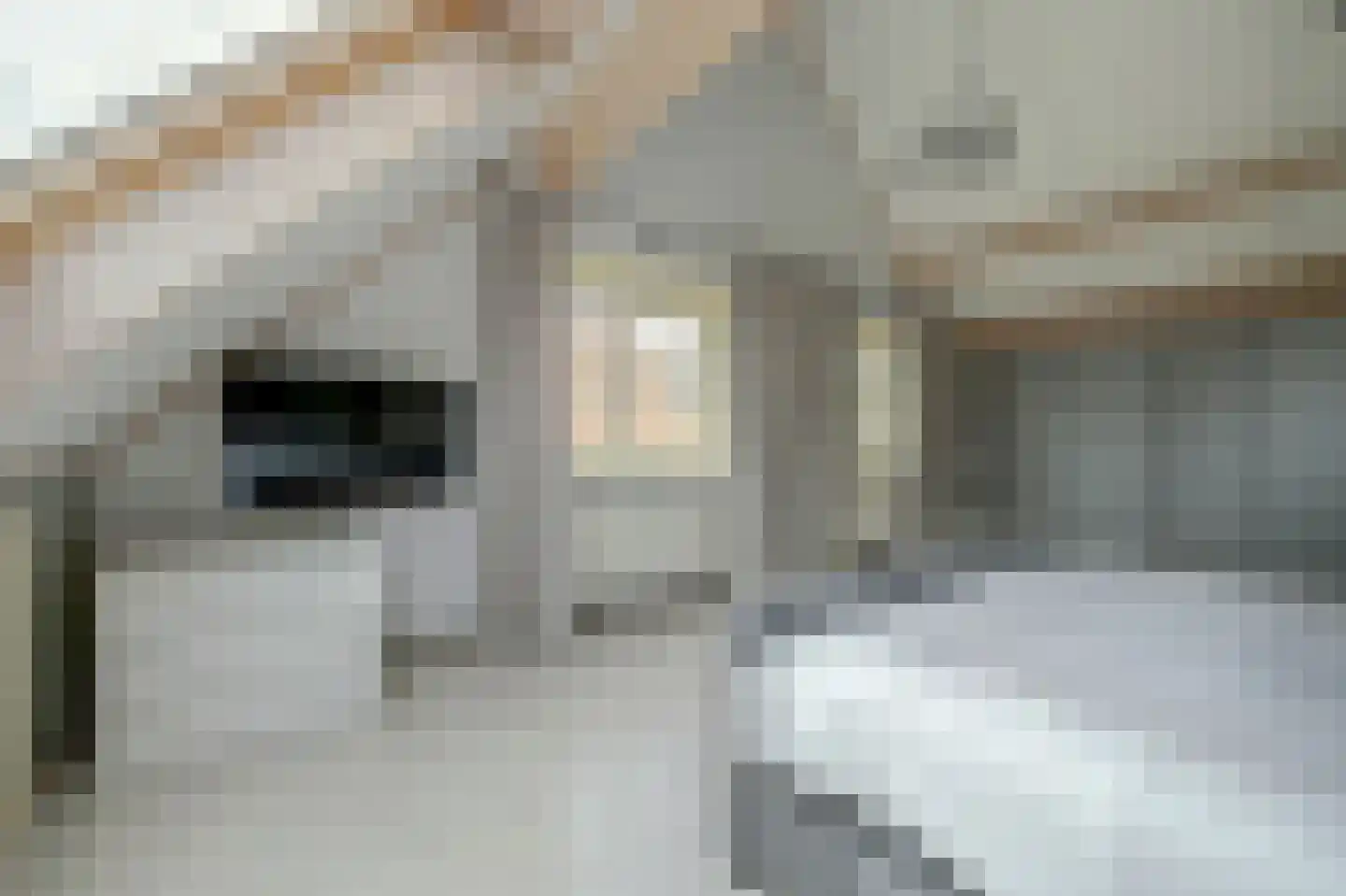 Noordelijke Achterweg 51 Wemeldinge thumbnail 27